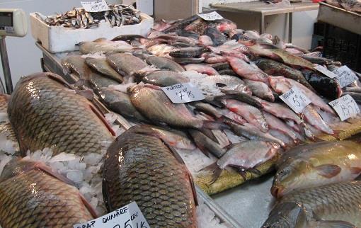 Exemple de urmat. Pescuitul industrial si comercial interzis in Republica Moldova! 